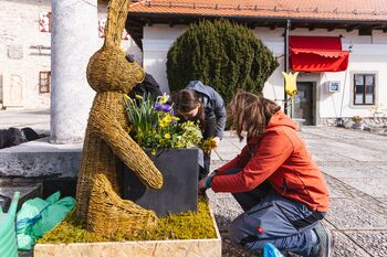 Mladi navdušili s cvetličnimi dekoracijami