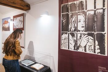 Veronika Deseniška med zgodovino in legendo Veronika Deseniška med zgodovino in legendo