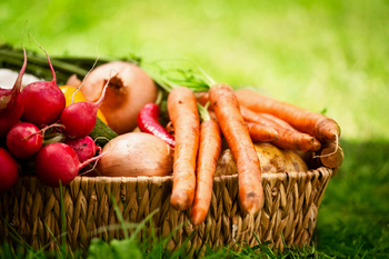 DELAVNICE Z MIHAELO ZALOKAR