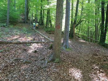 POMLADNE AKTIVNOSTI TD BOHINJSKA BELA