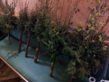 Da nav vornga dol pršva - Izdelava velikonočnih butar