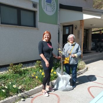 Donacija sadnih dreves