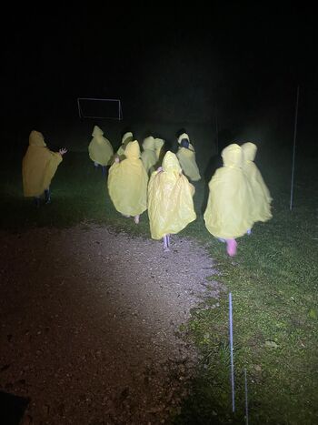 TEDEN OTROKA V ODDELKU GORSKI PALČEK