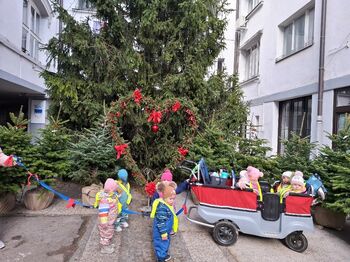 KAKO IZ MALIH KORAKOV NASTANE VELIKI PRAZNIČNI ČUDEŽ