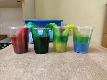 KATERE BARVE NAS OBKROŽAJO?