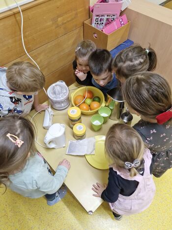 Kako se je zima igrala z našimi čutili