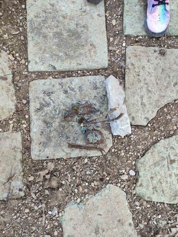 Pomladni pozdrav iz Vrtca Tržič: »Ptičja ohcet po naše«