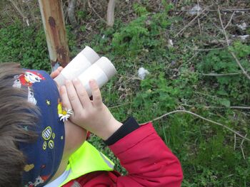 Ali ptice pojejo, čivkajo, žgolijo, se pogovarjajo ... ?