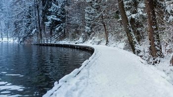 Lani na Bledu največ gostov iz Združenega kraljestva