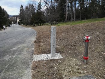 Pitniki ob Blejskem jezeru