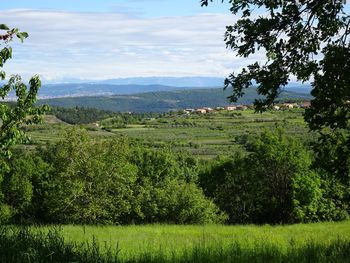 Kratke počitnice v Slovenski Istri