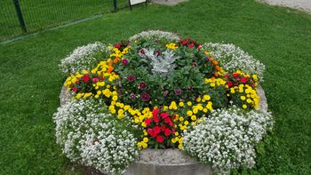 Ozelenitev blejskih parkov