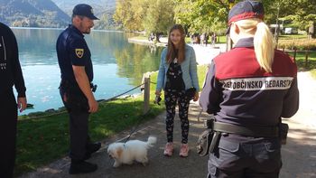 Kako s psom na sprehod, da ne ogrožamo drugih?