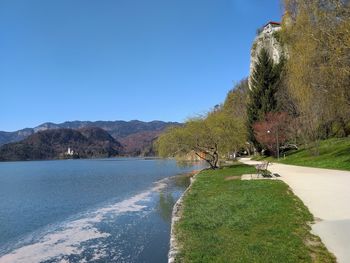 Koronapismo Natalije Kos