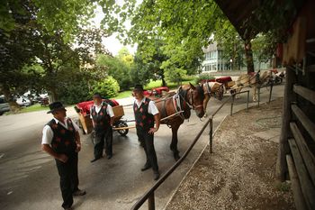 Veterinarska inšpekcija: Konji so dobro hranjeni, kopita urejena