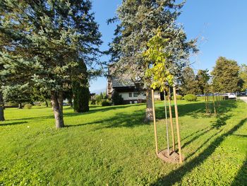 Krajevna skupnost Bled v letu 2020