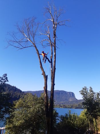 Novo leto, nova življenja v blejski občini Novo leto, nova življenja v blejski občini