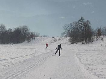 Tekaške proge na Bledu