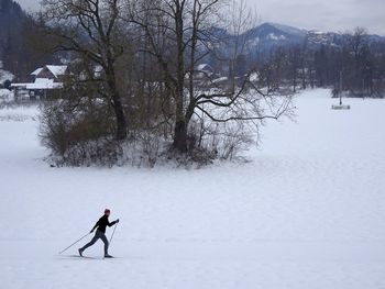 Tekaške proge na Bledu so urejene Tekaške proge na Bledu so urejene
