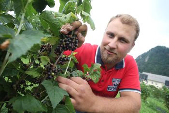 S šparglji za začetek, z inovativnostjo do mednarodne nagrade S šparglji za začetek, z inovativnostjo do mednarodne nagrade