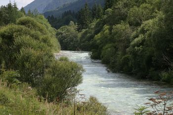 Poziv Direkcije za vode k čiščenju vodotokov Poziv Direkcije za vode k čiščenju vodotokov