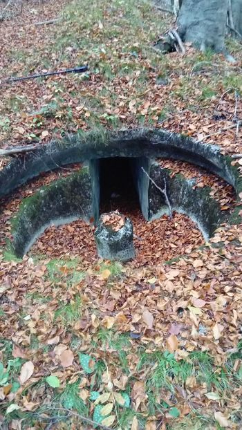 Objekti Rupnikove linije na Homu