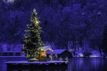 Zimska vasica na Blejskem jezeru