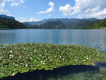 Bled med 25 najlepšimi kraji na svetu po izboru CNN