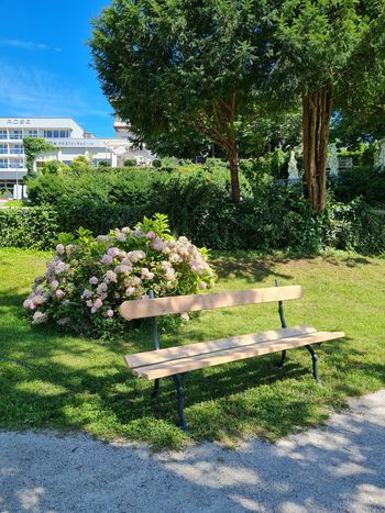 Nove klopi v blejskih parkih