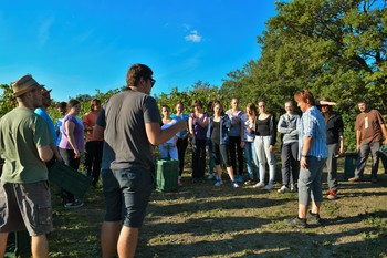 Film: Zgodba o Zdravljici