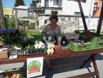 Vidov sejem letos na nedeljo