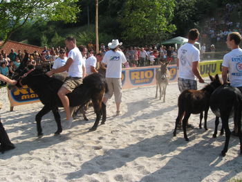 Dvanajsti Grand prix v Levpi