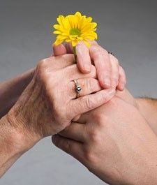 Hospic kmalu tudi na Primorskem