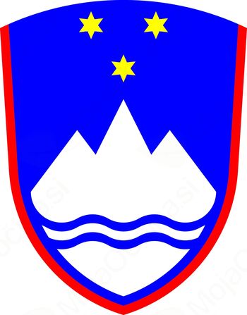 UPRAVNA ENOTA ŽALEC V LETU 2015 UPRAVNA ENOTA ŽALEC V LETU 2015