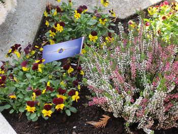 Manj svečk za manj grobov