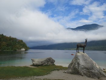 Narodnozabavni žur za Luka