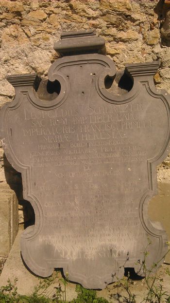 GENERAL BARON  LEOPOLD VON  SCHERTZER