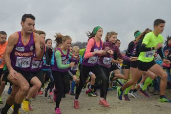 Drugi tek za Sevniški pokal na Blanci Drugi tek za Sevniški pokal na Blanci