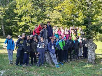 Planinski športni dan