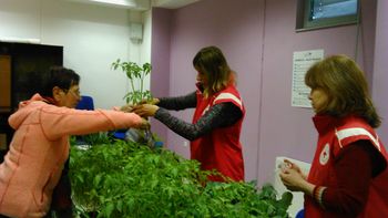 ZELEMENJAVA POMLAD 2017