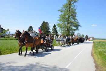 28. blagoslov konjev v Župečji vasi 