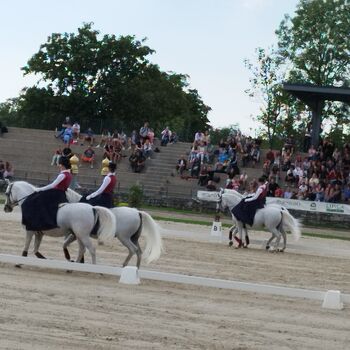 Župečani na strokovni ekskurziji v Lipici