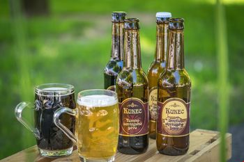 Fontana piv Zeleno zlato