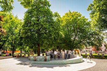 Fontana piv Zeleno zlato