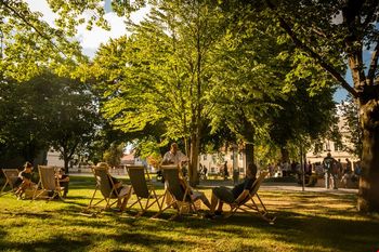 Fontana piv Zeleno zlato