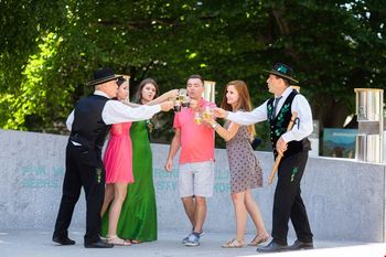 Fontana piv Zeleno zlato