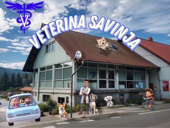 VETERINAR - M/Ž