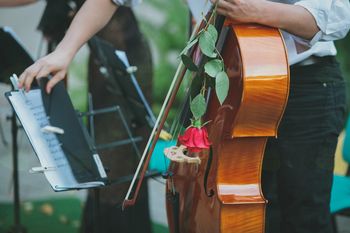 POLETNI KONCERT 4STRINGS