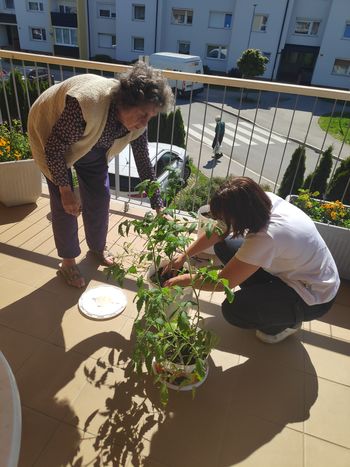 POLETNE IGRE IN DRUGE AKTIVNOSTI