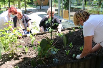 AKTIVNOSTI V BUTIČNEM PARKU